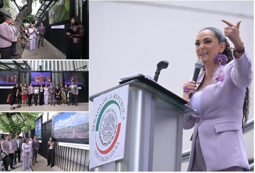 Senado exhibe muestra fotográfica sobre la riqueza de Tamaulipas