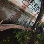 Lluvias en CDMX dejan 22 árboles caídos y 7 encharcamientos