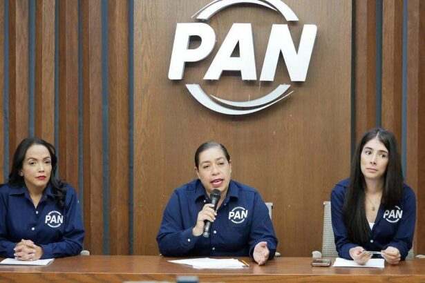 PAN prevé elección en Michoacán 2027 entre Morena y Sombrero