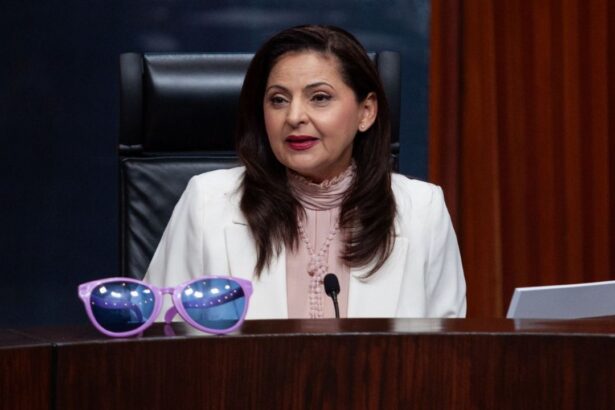 Morena avala renuncia exprés de Mónica Soto al TEPJF