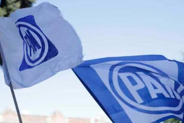PAN deberá postular mujer a alcaldía de Puebla en 2027 por mandato judicial