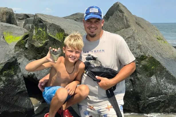Niño halla diente de megalodón fósil en playa de Nueva Jersey