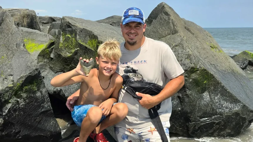 Niño halla diente de megalodón fósil en playa de Nueva Jersey
