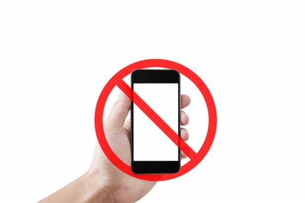 PAN propone regular uso de celulares en escuelas de Puebla