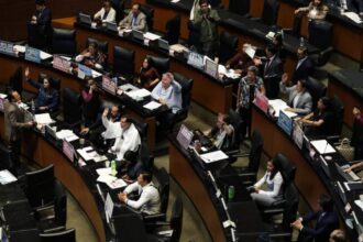 Senado aprueba prohibir doble nacionalidad en altos cargos públicos