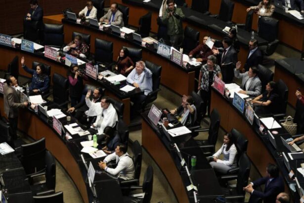 Senado aprueba prohibir doble nacionalidad en altos cargos públicos