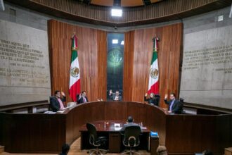 TEPJF ordena al INE investigar queja del PRI contra la CNDH