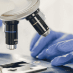 Rusia investiga muerte por posible peste en laboratorio de Irkutsk