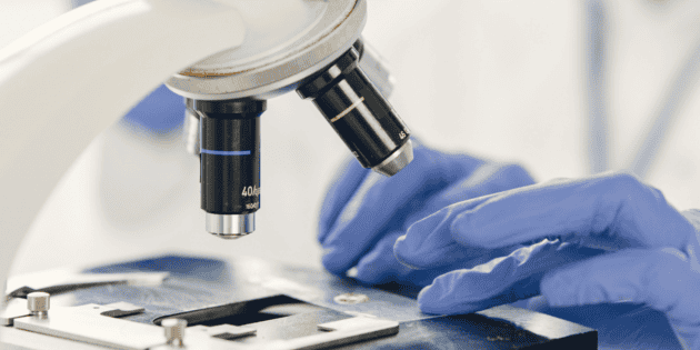 Rusia investiga muerte por posible peste en laboratorio de Irkutsk