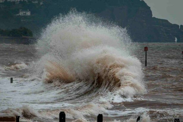 El Salvador cancela alerta de tsunami tras sismo en Panamá