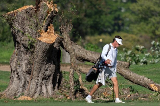 Jueza federal critica tala de 430 árboles en campo de golf de D.C.