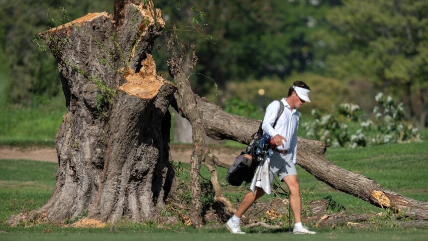 Jueza federal critica tala de 430 árboles en campo de golf de D.C.