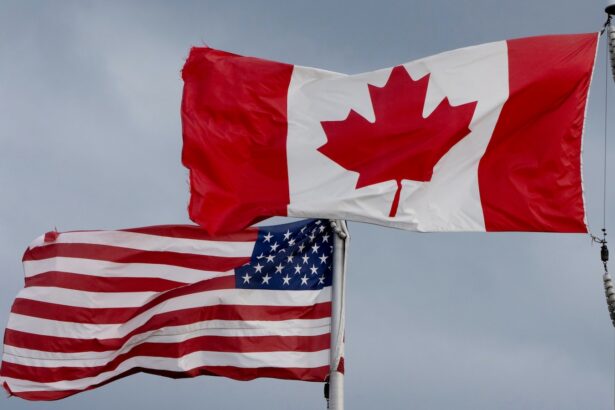 Importadora de Nueva Jersey demanda a Trump por aranceles a Canadá