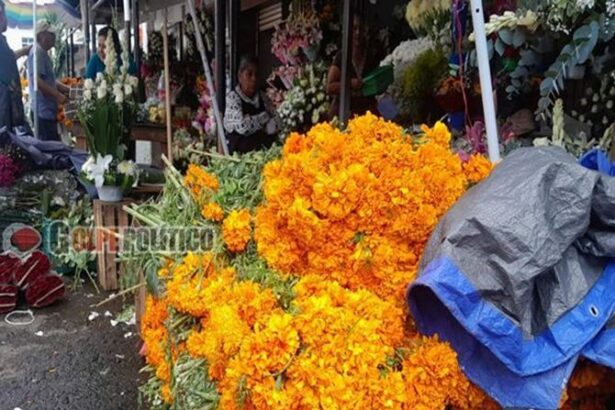 Flores de Puebla abastecen el mercado San José de Xalapa para Día de Muertos