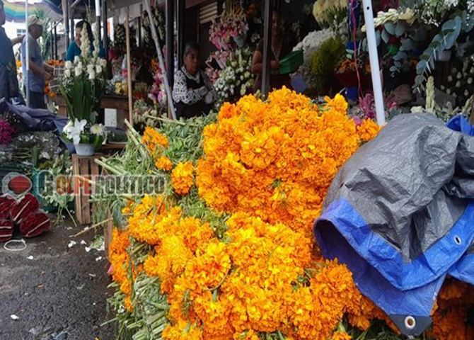 Flores de Puebla abastecen el mercado San José de Xalapa para Día de Muertos
