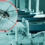 Fallece en Francia primer caso humano de virus Shamonda, según OMS